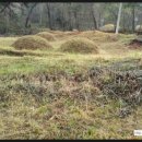 점암농장 이미지