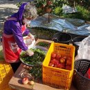 송죽펜션 이미지