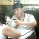 엄마손 동물병원 이미지