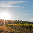 라라샵 목동점 이미지