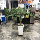 보스족발앤불탕불짬 이미지