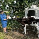 연천목장 이미지