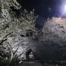 등뼈(충효점) 이미지