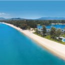 방앤피그 이미지