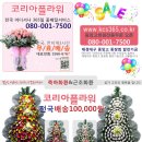 (주)코리아꽃도매 이미지