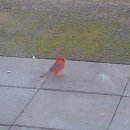 작은 동물원 이미지