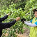 감곡농협 이미지