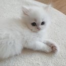 온세상미용실 이미지