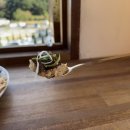 가천공단로 | 울산에서 소문난 맛집 사나래에서 울산한식 먹은 후기