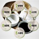 실학시대 향약과 의학, 다섯