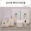 새집증후군피톤치드이야기대전 | 새집증후군 제거 방법 서울대 화학박사 베이크아웃볼 피톤치드 천연 실내방향제 추천