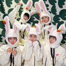 로하스캠핑 이미지