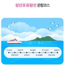 성산등용로 | [내돈내산] 제주 동쪽 성산 가볼만한 곳 가족여행지 추천 성산포유람선 이용후기