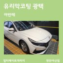 준광택 | 아산유리막코팅 광택 추천 아반테 시공 후기
