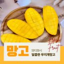 태국 마하차녹 무지개망고 2kg 택배 배송 추천 와디와시