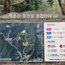 원주굽이길 원3코스 백운산자연휴양림길 | 원주 여행지 백운산 산책로 (자연, 트래킹, 숲길)