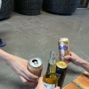 메르벨르B 이미지