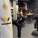 위즈덤 GYM 이미지