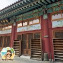 성주사 회귀형 숲길 | 성주사 템플스테이 휴식형 후기