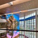 우리본병원 이미지