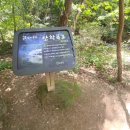 ♣ 제815차 8월 24일(월) 금산 성치산 성봉(648m) 정기산행 ♣ 이미지