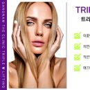 피브이짐 이미지