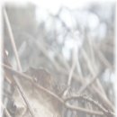 하와이호텔 이미지