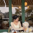 커피마마 - 수원시 권선구 금곡로73번길 176 | [파주] 유럽감성 애견동반 파주데이트코스 / 파주운정맛집 마마경양식 솔직후기 / 파주카페 템스커피