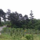 백경농장 이미지