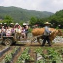 애정농장 이미지