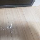 미소방역소독
