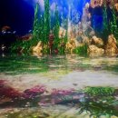 천평가든 | [제주도] 애월 미디어아트 • 제주 실내 관광지 • 아이바가든