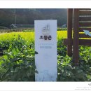 양정자짚공예연구실 | 주말에 뭐하지 아이와 함께 가볼만한곳 청양 알프스 마을 으뜸촌