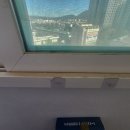 진우접착