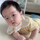 아기 실내복 : 코니 신생아 메쉬 바디수트&amp;턱받이 사용 후기