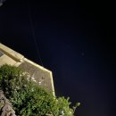 라라보목 이미지