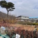산림조합주유소 - 삼척시 삼척로 3840 | 산림조합주유소