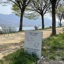 에이미테이블 이미지