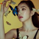 아이린 뉴스1
