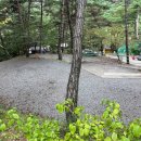 곡성-109 이미지