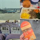 대만 타이베이 여행 중화항공 CI161 CI162 임산부 인천공항-타오위안공항 체크인 기내식 입국신고서...