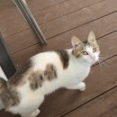 정선다온펜션