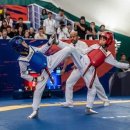 강인태권도 이미지