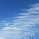 평화피에이치 이미지