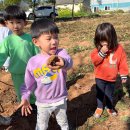 노래에 맞춰서 연주해요. (20231017) 이미지