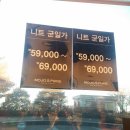 블루페페 이미지