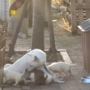 엄마손민박 이미지