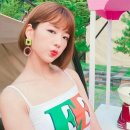 보배렌트카 이미지