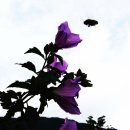 지혜의샘 이미지