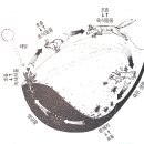 생명의 그물 2 이미지